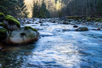 Downstream creek from 30 foot pool