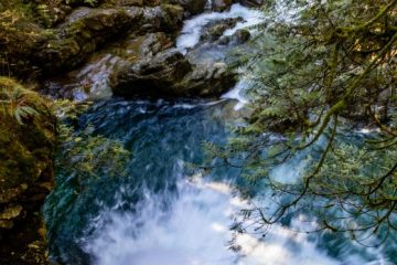 Twin Falls