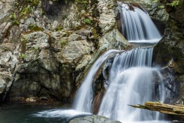 Twin Falls