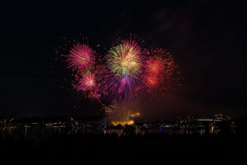 IMG_9309_20230704-scaled