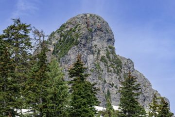 Blanshard Needle up close