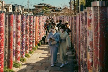 Kimono Forest