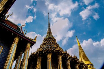 The Palace