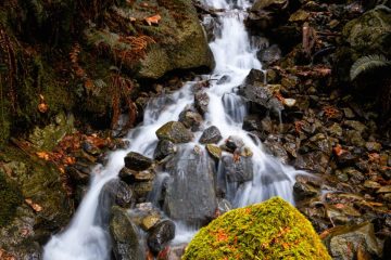 A small waterfall at the beginning of the trail