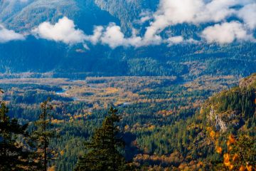 Cheakamus River