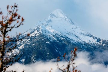 IMG_8395_20221105-scaled