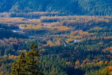 Cheakamus River