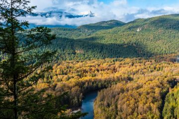 Cheakamus River
