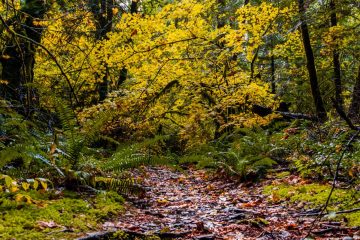 IMG_8452_20221105-scaled