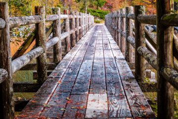 IMG_8456_20221105-scaled