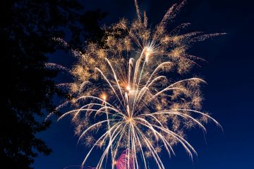 IMG_4134_20220701-scaled