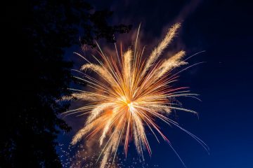 IMG_4148_20220701-scaled