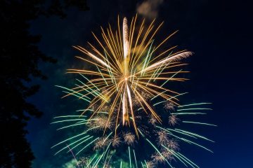 IMG_4176_20220701-scaled