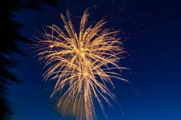 IMG_4188_20220701-scaled
