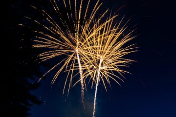 IMG_4190_20220701-scaled