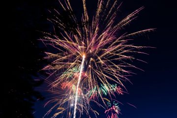 IMG_4193_20220701-scaled