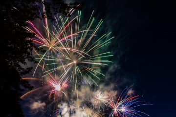 IMG_4195_20220701-scaled