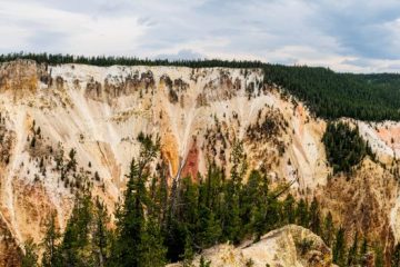 Canyon of Yellowstone National Park
