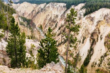 Canyon of Yellowstone National Park