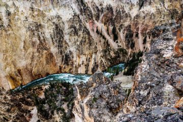 Canyon of Yellowstone National Park