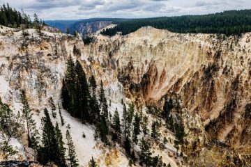 Canyon of Yellowstone National Park