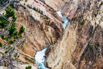 Canyon of Yellowstone National Park