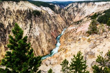 Canyon of Yellowstone National Park