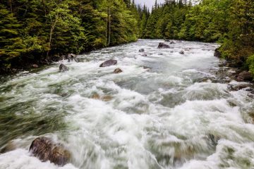 Gold Creek
