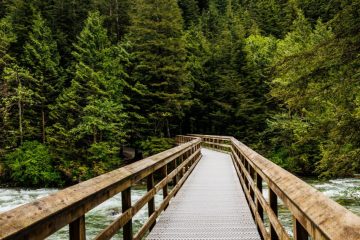 The bridge that connects the East trail with the West trail