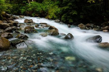 A stream on the trail