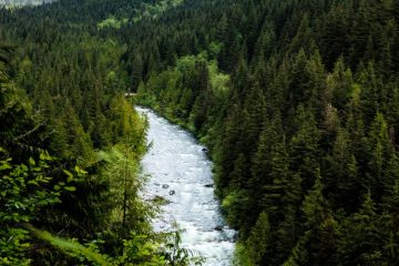 Gold creek lookout