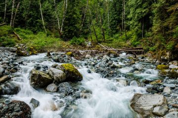 A stream on the trail