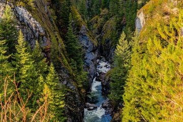 Cheakamus Canyon