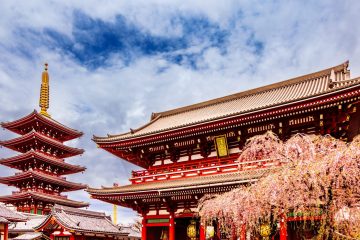 Sensoji and cherry blossom, Tokyo, Japan