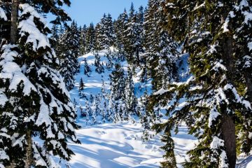 Snow