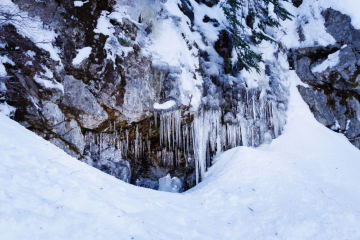 Frozen Land