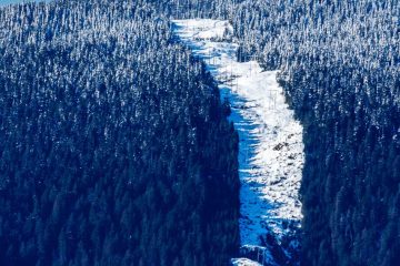Fire line on a nearby mountain
