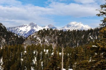 IMG_4197-Edit_20240217-scaled