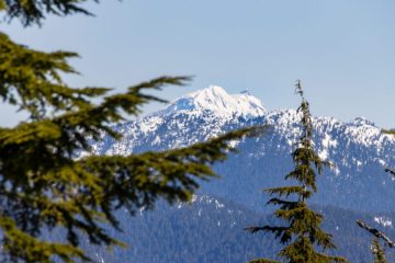 IMG_5338_20210417-scaled