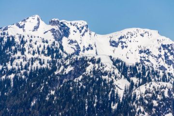 IMG_5339_20210417-scaled