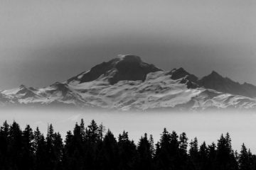IMG_5356_20210417-scaled