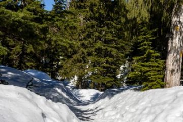 IMG_5364_20210417-scaled