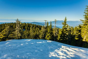 View on top of Black Mountain
