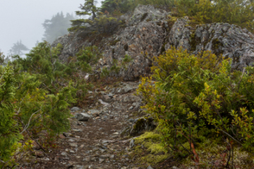 Evans Peak