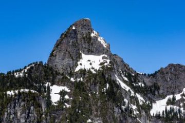Blanshard Needle