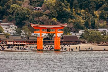Floating Torii Gate