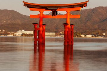 Floating Torii Gate
