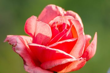 IMG_8832_20230826-scaled