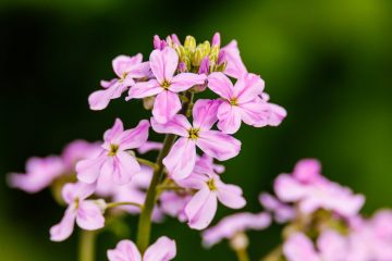 IMG_2897_20220528-scaled