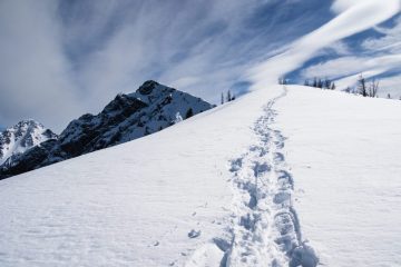 Trail to the final push to the ridge
